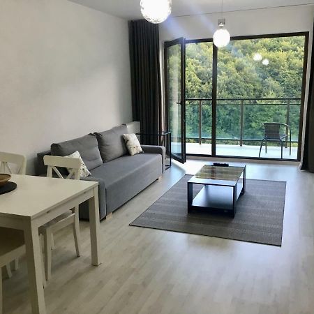 Nature View Apartment Braszów Zewnętrze zdjęcie