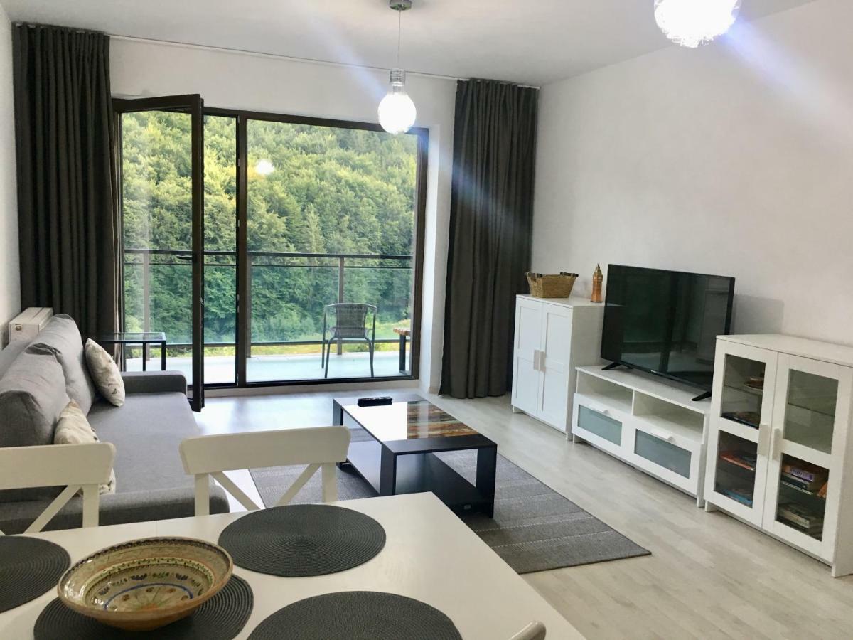 Nature View Apartment Braszów Zewnętrze zdjęcie