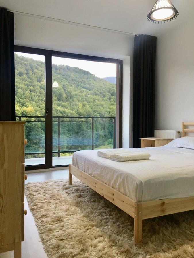 Nature View Apartment Braszów Zewnętrze zdjęcie