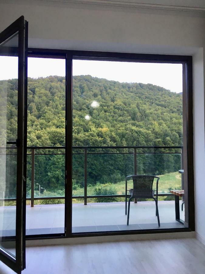 Nature View Apartment Braszów Zewnętrze zdjęcie