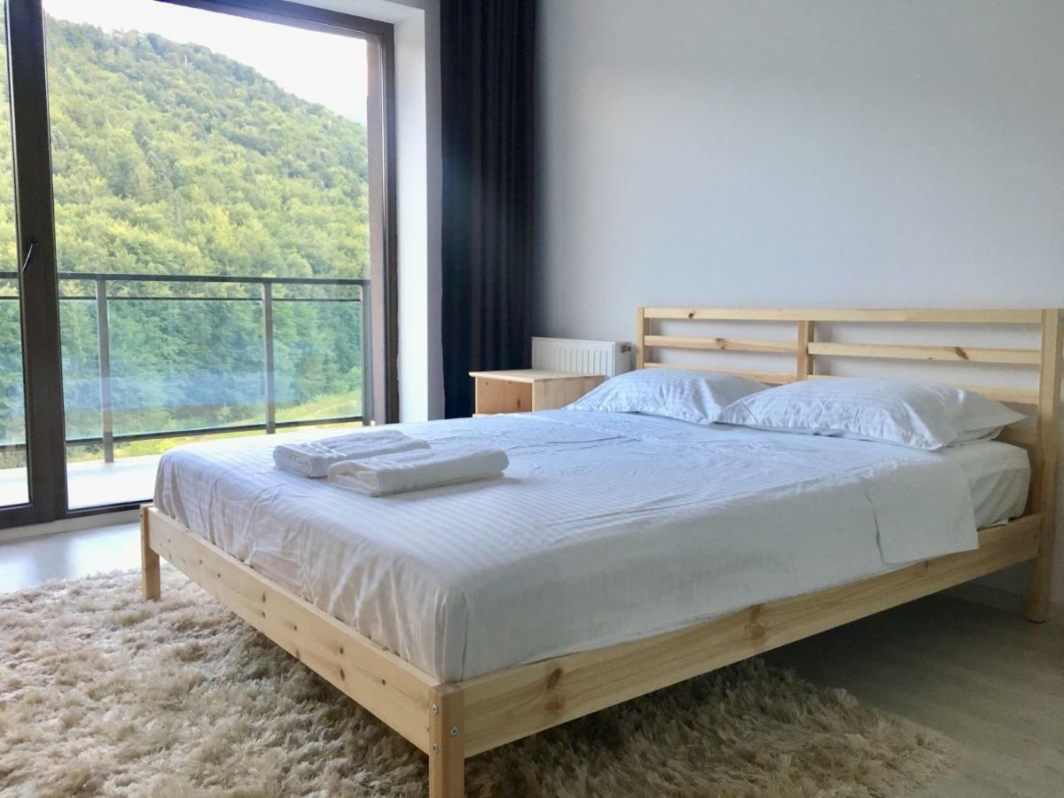 Nature View Apartment Braszów Zewnętrze zdjęcie