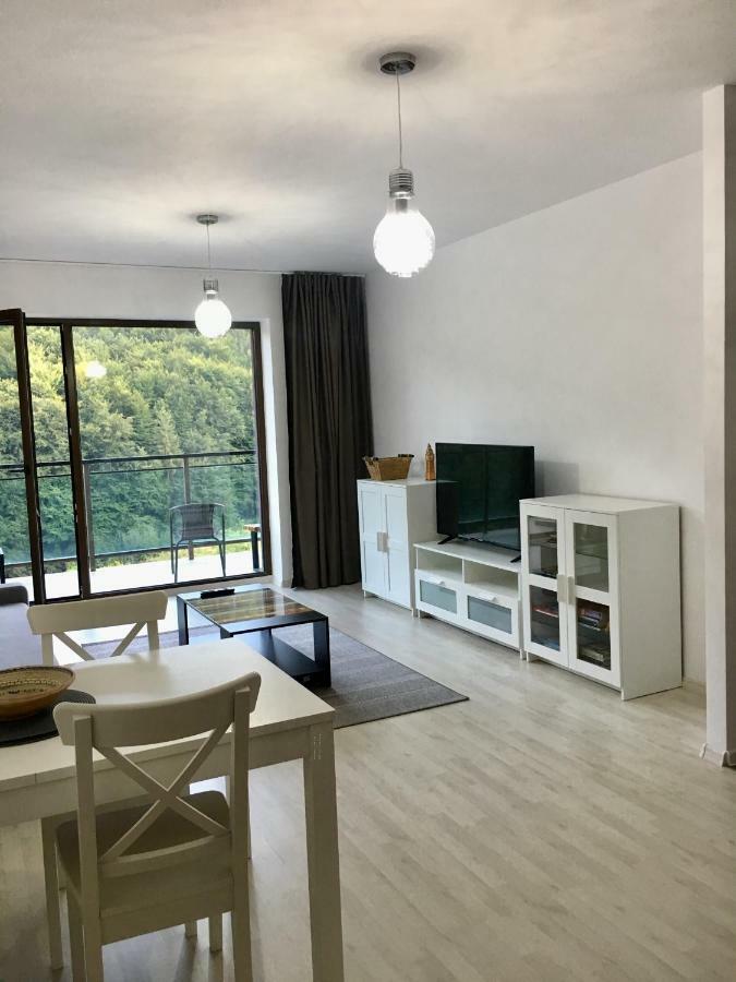 Nature View Apartment Braszów Zewnętrze zdjęcie