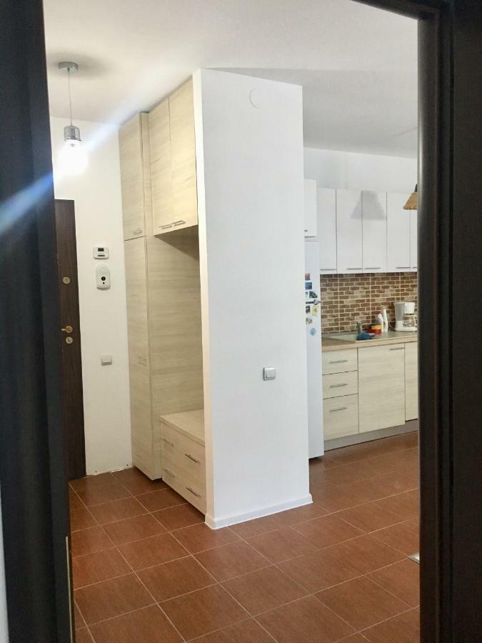 Nature View Apartment Braszów Zewnętrze zdjęcie